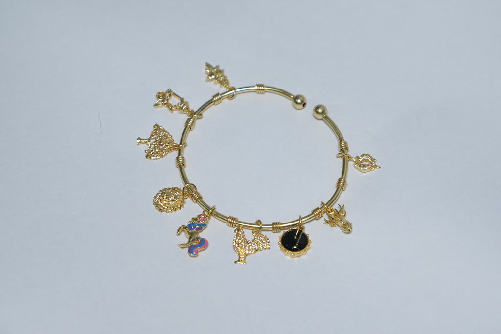 Ardra Women Bracelet