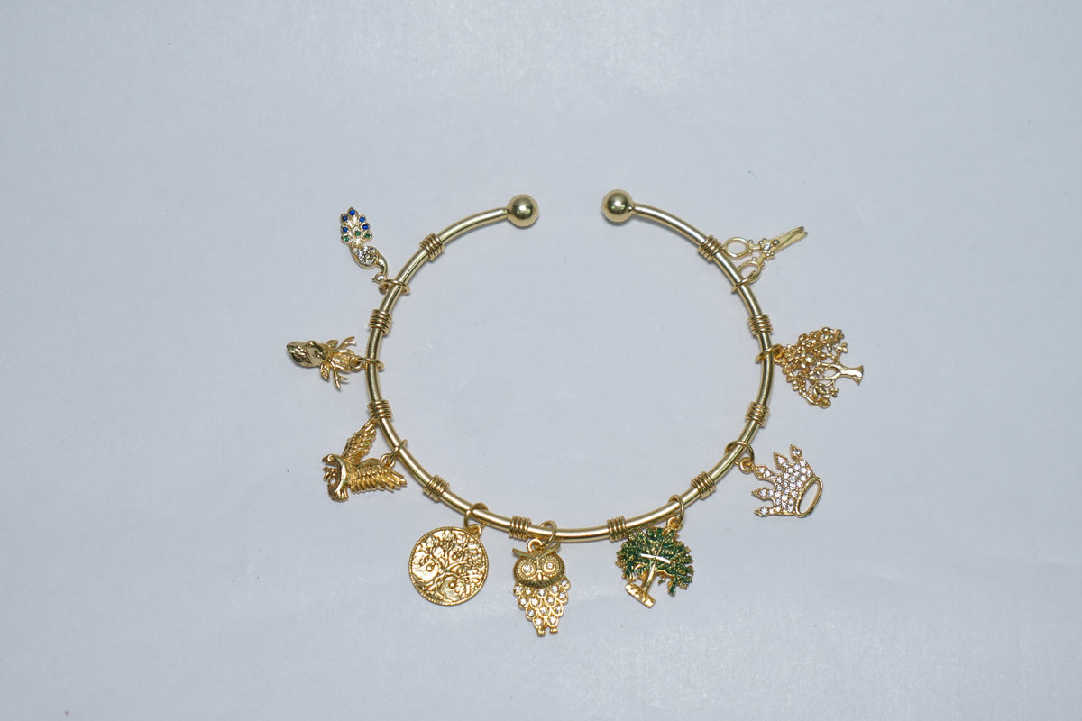 Purva Phalguni Women Bracelet