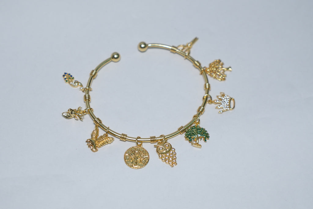 Purva Phalguni Women Bracelet