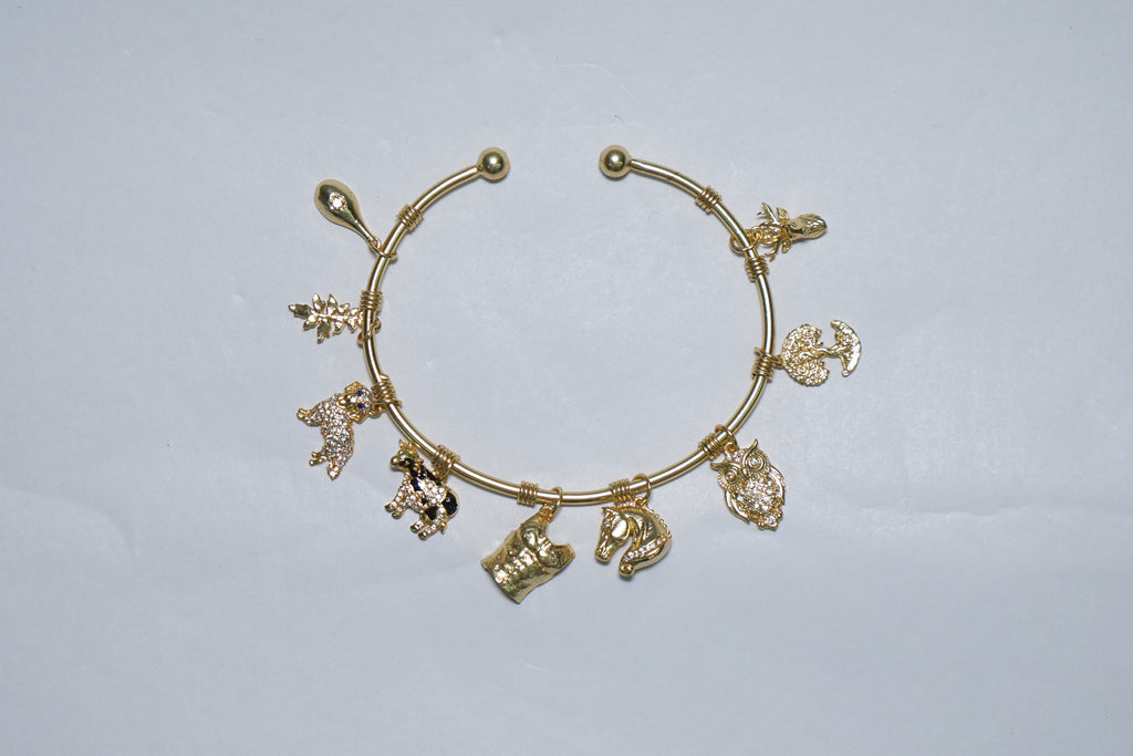 Punarvasu Women Bracelet