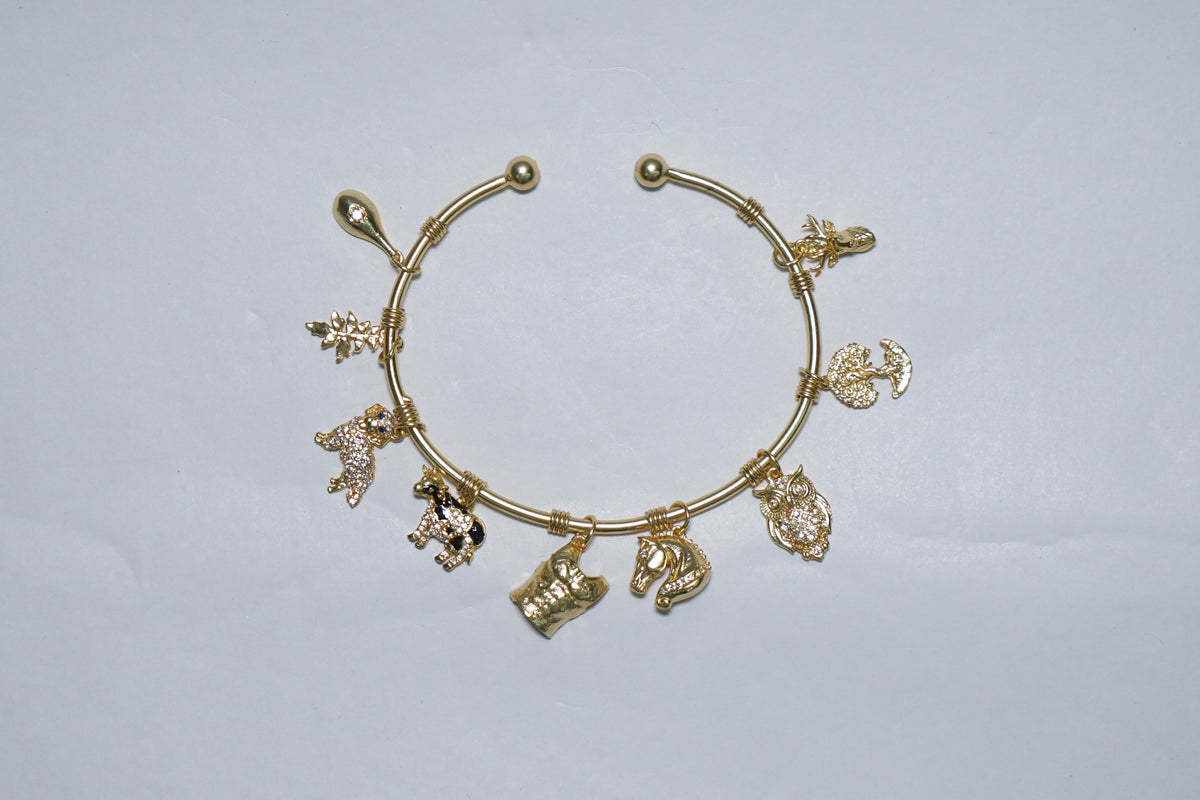 Punarvasu Women Bracelet