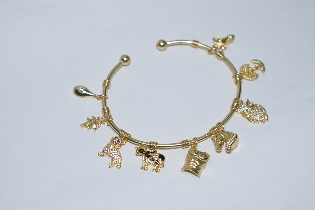 Punarvasu Women Bracelet