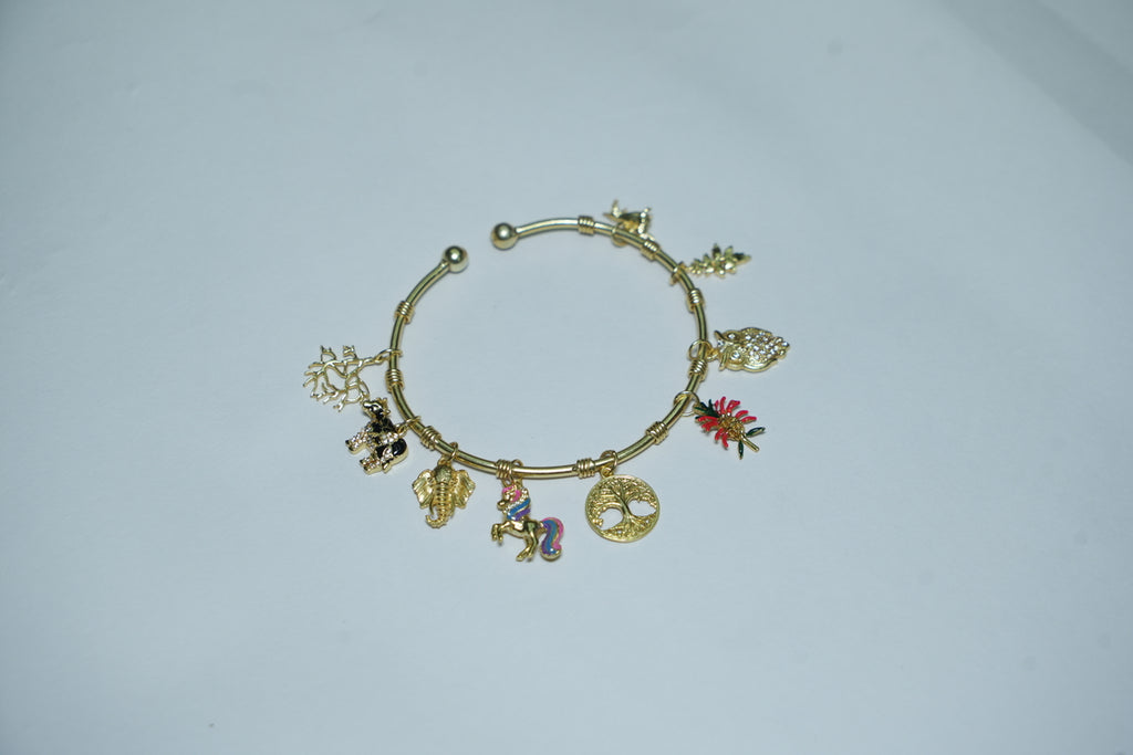Revati Women Bracelet