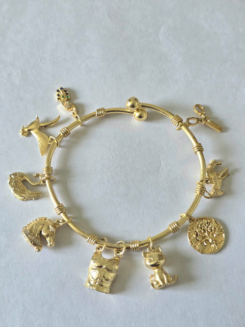 Ashlesha Women Bracelet
