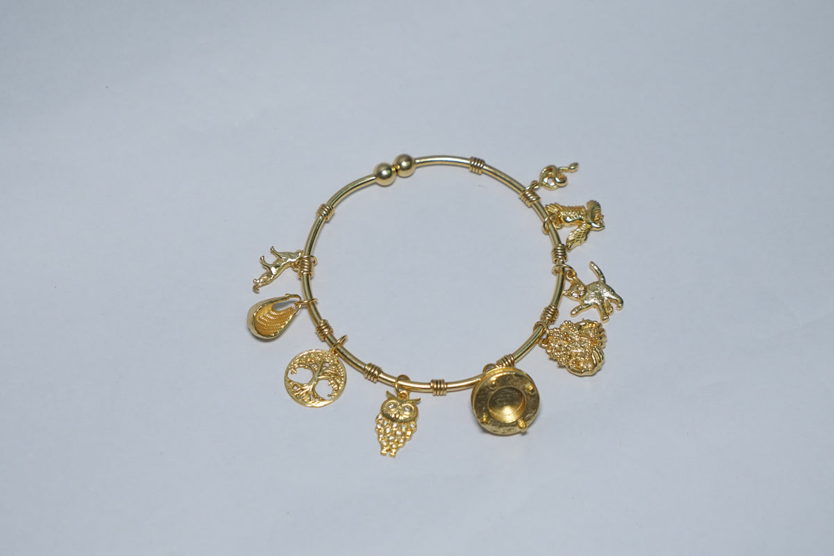 Anuradha Women Bracelet