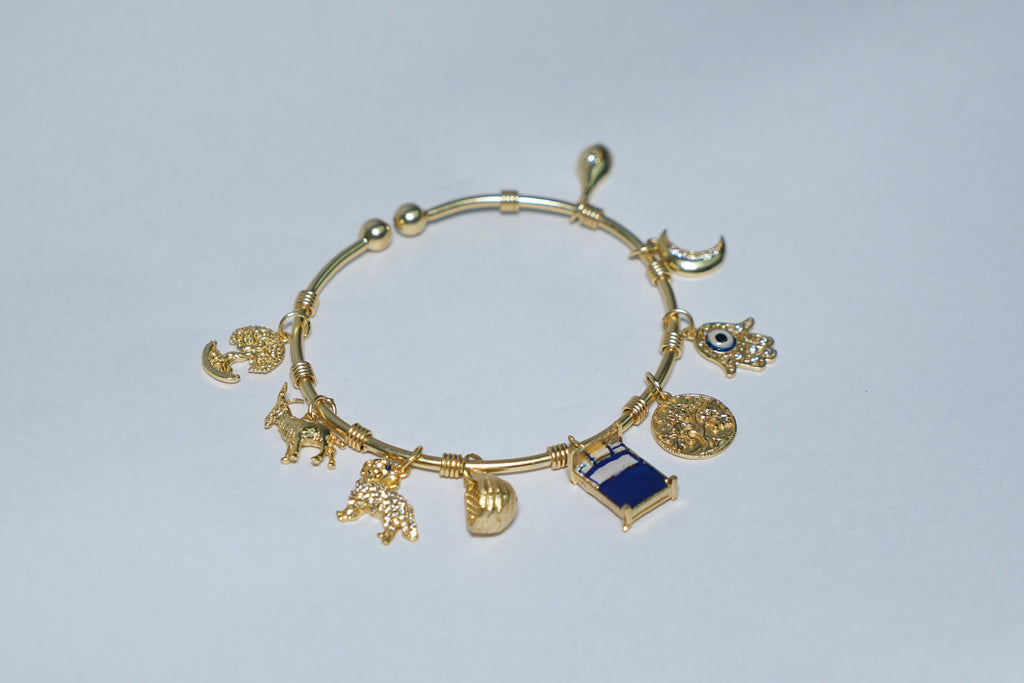 Chitra Women Bracelet