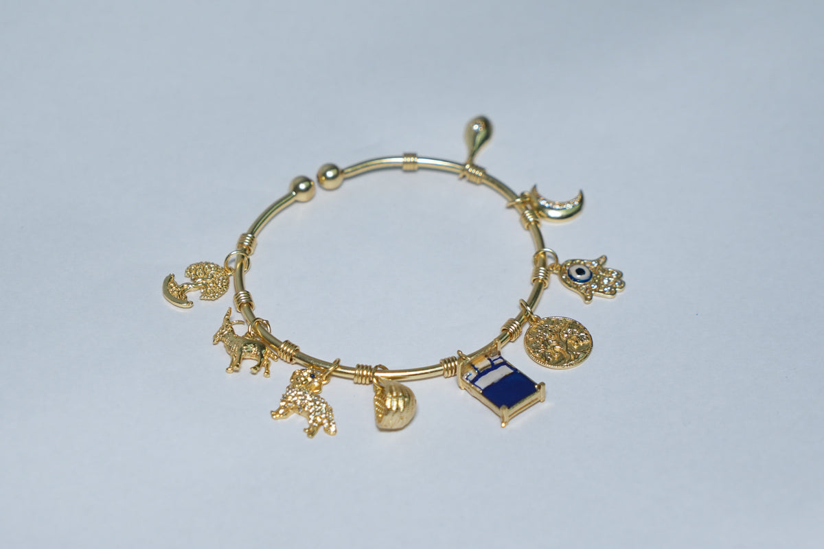Chitra Women Bracelet