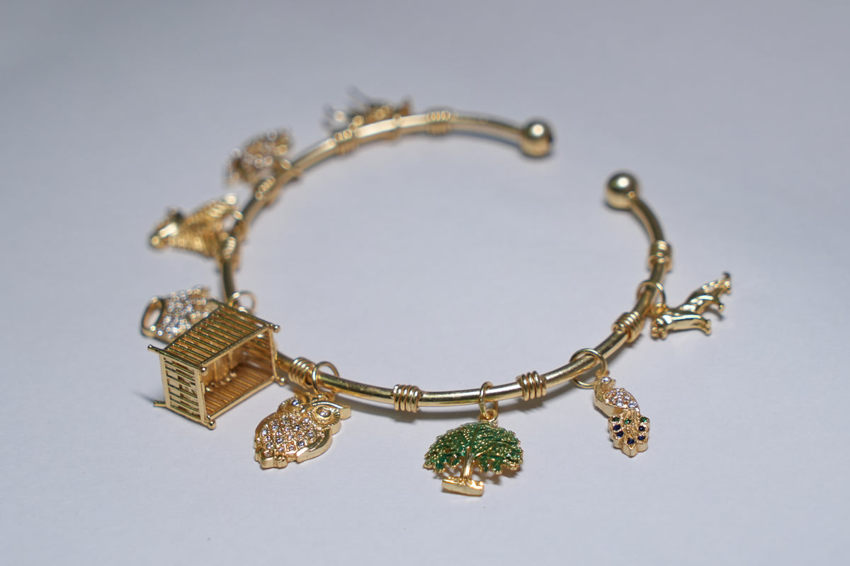 jyestha Women Bracelet